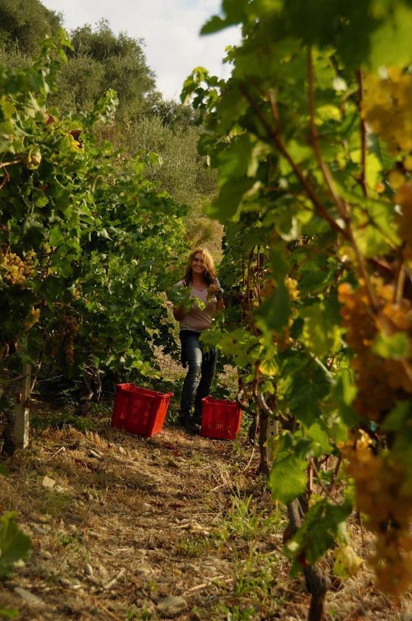 La Casa Del Podere Кастелларо Екстер'єр фото