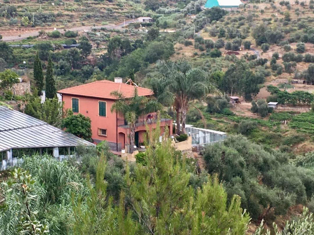 La Casa Del Podere Кастелларо Екстер'єр фото